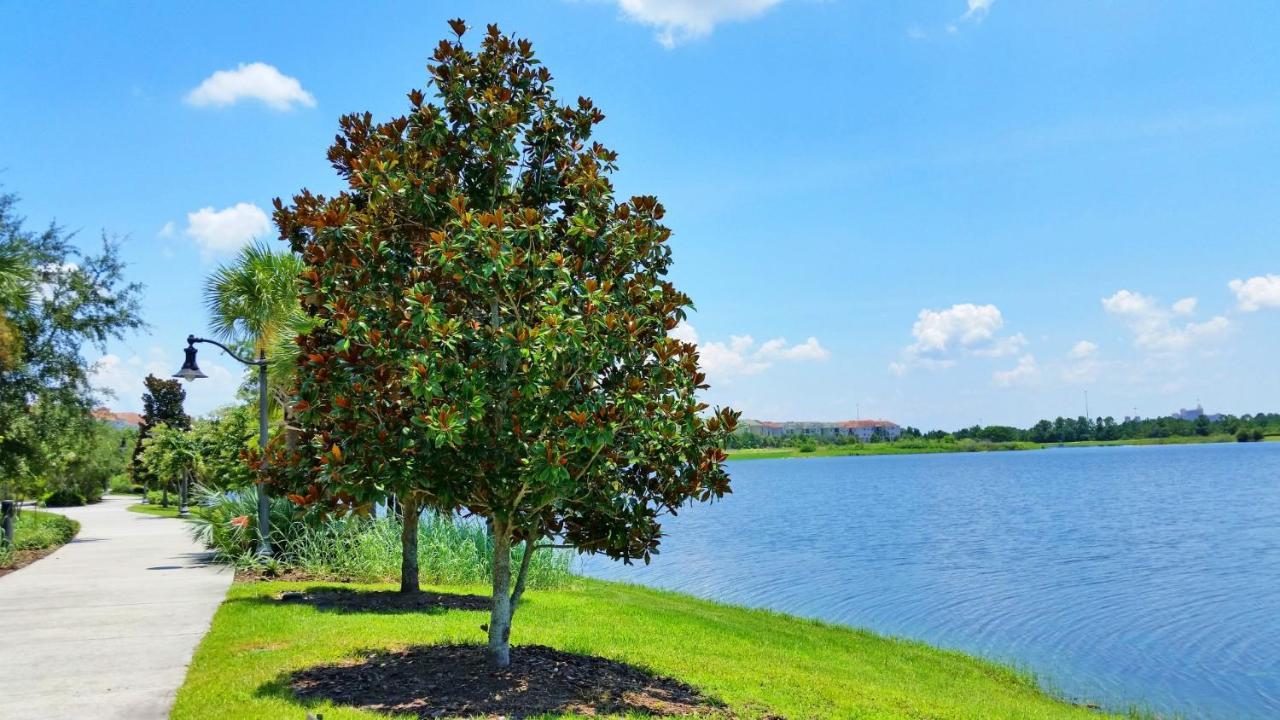 1St Floor Luxury Condo W Free Resort Access Кіссіммі Екстер'єр фото